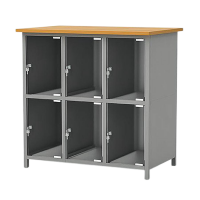 Камера хранения ШМ-6 КХ С