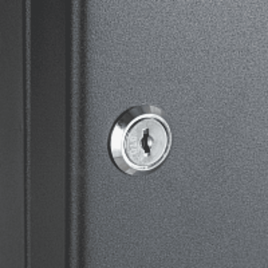 Ключница настенная металлическая с замком SAFEBURG Key-48 Black