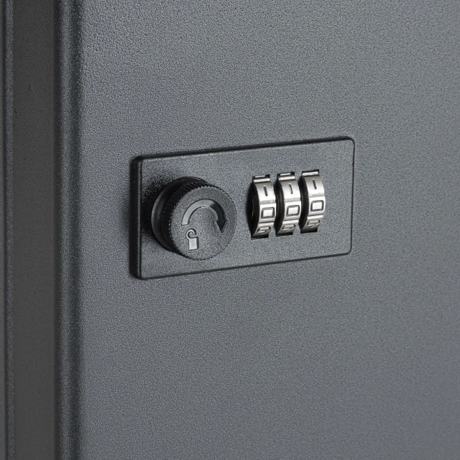 Ключница настенная металлическая с кодовым замком SAFEBURG Key-24 Black